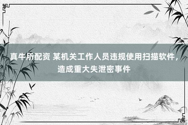 真牛所配资 某机关工作人员违规使用扫描软件，造成重大失泄密事件