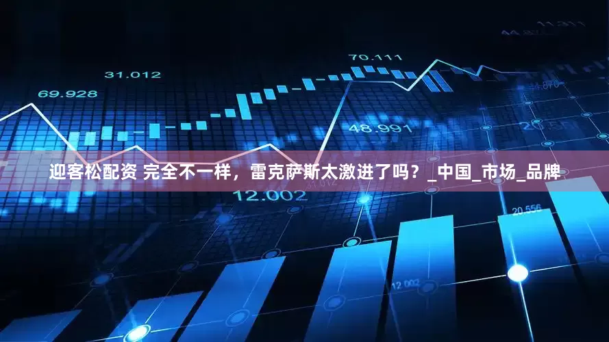 迎客松配资 完全不一样，雷克萨斯太激进了吗？_中国_市场_品牌
