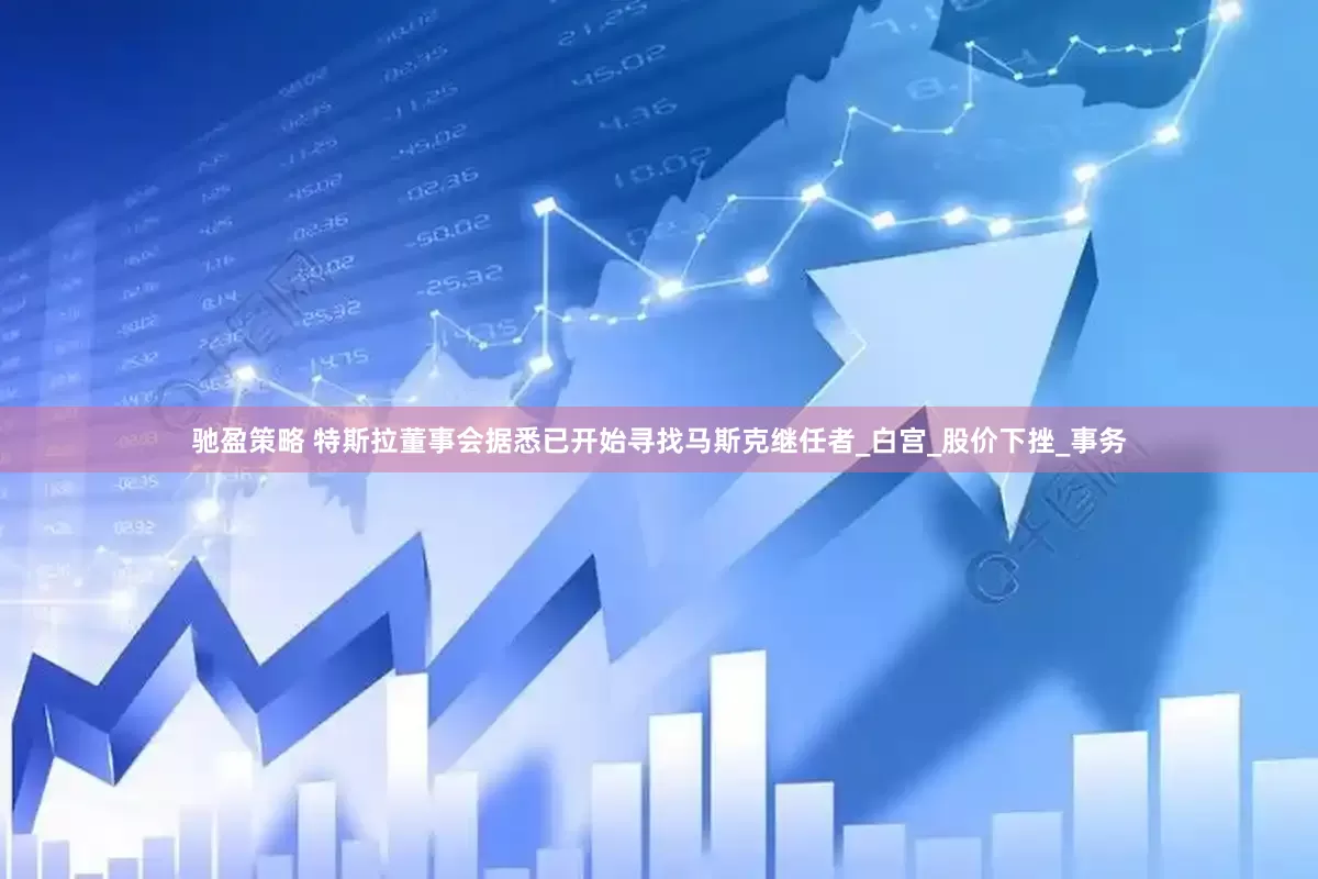 驰盈策略 特斯拉董事会据悉已开始寻找马斯克继任者_白宫_股价下挫_事务