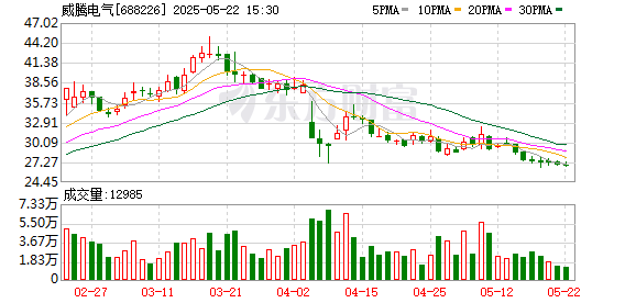 盈鑫惠 威腾电气：2024年年度股东大会决议公告