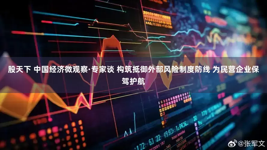 股天下 中国经济微观察·专家谈 构筑抵御外部风险制度防线 为民营企业保驾护航