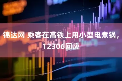 锦达网 乘客在高铁上用小型电煮锅，12306回应