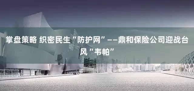 掌盘策略 织密民生“防护网”——鼎和保险公司迎战台风“韦帕”