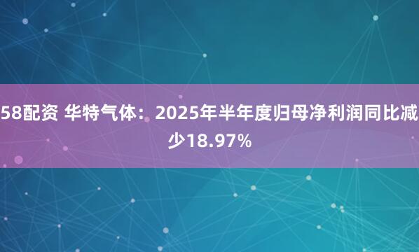 58配资 华特气体：2025年半年度归母净利润同比减少18.97%